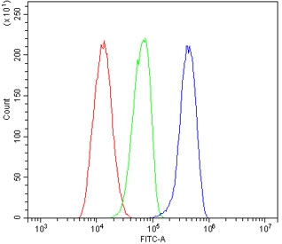 Flow cytometry testing of human HL60 cells with USP25 antibody at 1ug/million cells (blocked with goat sera); Red=cells alone, Green=isotype control, Blue= USP25 antibody.