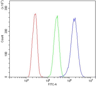 Flow cytometry testing of human A431 cells with VPS4B antibody at 1ug/million cells (blocked with goat sera); Red=cells alone, Green=isotype control, Blue= VPS4B antibody.