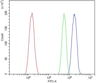 Flow cytometry testing of human a431 cells with ZFP42 antibody at 1ug/million cells (blocked with goat sera); Red=cells alone, Green=isotype control, Blue= ZFP42 antibody.