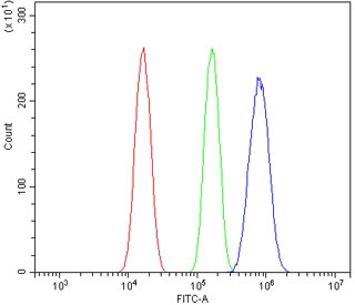 Ah Receptor Antibody Neuro-2a Cells FACS. Flow cytometric analysis of mouse Neuro-2a cells was performed using an Ah Receptor antibody at 1 ug per million cells following blocking with goat sera. Ah Receptor, also known as Aryl Hydrocarbon Receptor and a Ligand Activated Transcription Factor, regulates gene expression in response to environmental toxins, endogenous metabolites, and dietary ligands. Red histogram: cells alone. Green histogram: isotype control. Blue histogram: Ah Receptor antibody. The clear rightward shift of the Ah Receptor antibody signal relative to both controls demonstrates specific detection of endogenous AHR expression in Neuro-2a neuroblastoma cells. These findings are consistent with the emerging role of AHR signaling in neurodevelopment, neuronal homeostasis, and responses to environmental stimuli. These results support the utility of Ah Receptor Antibody for studies of signal transduction, neurobiology, and transcriptional regulation.