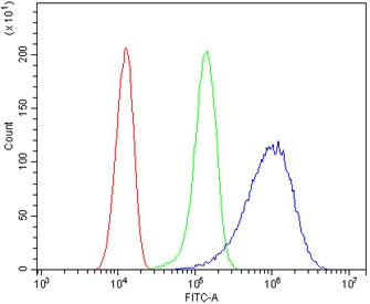 Flow cytometry testing of human HeLa cells with ANGPT2 antibody at 1ug/million cells (blocked with goat sera); Red=cells alone, Green=isotype control, Blue= ANGPT2 antibody.