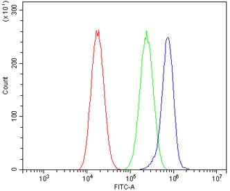 Flow cytometry testing of fixed and permeabilized human A549 cells with ASIC2 antibody at 1ug/million cells (blocked with goat sera); Red=cells alone, Green=isotype control, Blue= ASIC2 antibody.