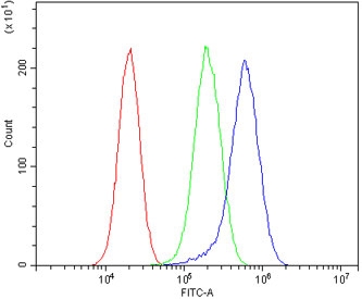 Flow cytometry testing of fixed and permeabilized human PC-3 cells with ASIC2 antibody at 1ug/million cells (blocked with goat sera); Red=cells alone, Green=isotype control, Blue= ASIC2 antibody.