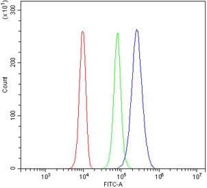Flow cytometry testing of human 293T cells with PCTK1 antibody at 1ug/million cells (blocked with goat sera); Red=cells alone, Green=isotype control, Blue= PCTK1 antibody.