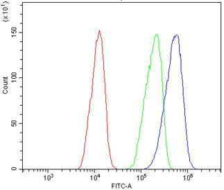 Flow cytometry testing of rat C6 cells with Drd4 antibody at 1ug/million cells (blocked with goat sera); Red=cells alone, Green=isotype control, Blue= Drd4 antibody.