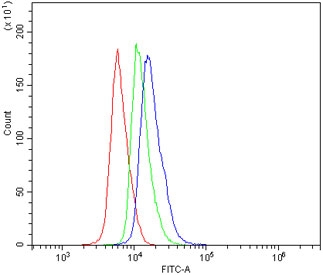 Fas Antibody Spleen FACS. Flow cytometry testing of mouse spleen cells with Fas antibody at 1ug/million cells (blocked with goat sera); Red=cells alone, Green=isotype control, Blue= Fas antibody.