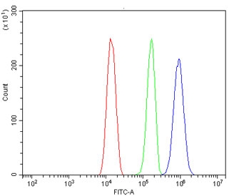 Flow cytometry testing of human HeLa cells with IRF-1 antibody at 1ug/million cells (blocked with goat sera); Red=cells alone, Green=isotype control, Blue= IRF-1 antibody.