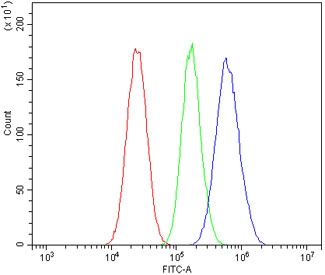 Flow cytometry testing of human HepG2 cells with MASP2 antibody at 1ug/million cells (blocked with goat sera); Red=cells alone, Green=isotype control, Blue= MASP2 antibody.