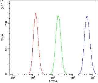 Flow cytometry testing of human A549 cells with SENP1 antibody at 1ug/million cells (blocked with goat sera); Red=cells alone, Green=isotype control, Blue= SENP1 antibody.