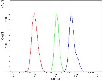 Flow cytometry testing of human U-87 MG cells with SLBP/Stem-Loop Binding Protein antibody at 1ug/million cells (blocked with goat sera); Red=cells alone, Green=isotype control, Blue= SLBP antibody.