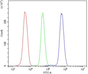 Flow cytometry testing of human U937 cells with SLC2A9 antibody at 1ug/million cells (blocked with goat sera); Red=cells alone, Green=isotype control, Blue= SLC2A9 antibody.