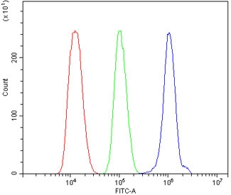 Flow cytometry testing of human ThP-1 cells with Toll-like Receptor 1 antibody at 1ug/million cells (blocked with goat sera); Red=cells alone, Green=isotype control, Blue= Toll-like Receptor 1 antibody.