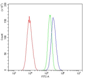 Flow cytometry testing of human A549 cells with CD59 antibody at 1ug/million cells (blocked with goat sera); Red=cells alone, Green=isotype control, Blue= CD59 antibody.