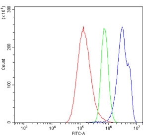 Flow cytometry testing of human A549 cells with MCM4 antibody at 1ug/million cells (blocked with goat sera); Red=cells alone, Green=isotype control, Blue= MCM4 antibody.