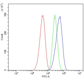 Flow cytometry testing of human Caco-2 cells with CA13 antibody at 1ug/million cells (blocked with goat sera); Red=cells alone, Green=isotype control, Blue= CA13 antibody.