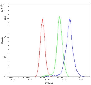Flow cytometry testing of mouse spleen cells with Cox8a antibody at 1ug/million cells (blocked with goat sera); Red=cells alone, Green=isotype control, Blue= Cox8a antibody.