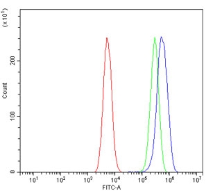 GRID2 Antibody Rat Sample FACS. Flow cytometry testing of rat C6 cells with GRID2 antibody at 1ug/million cells (blocked with goat sera); Red=cells alone, Green=isotype control, Blue= GRID2 antibody.