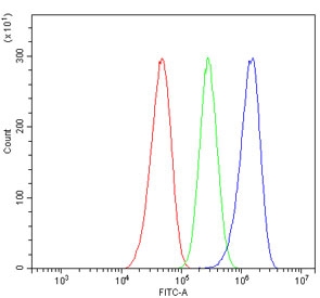 Flow cytometry testing of human Caco-2 cells with Galectin 2 antibody at 1ug/million cells (blocked with goat sera); Red=cells alone, Green=isotype control, Blue= Galectin 2 antibody.