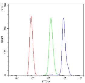 Flow cytometry testing of human HL60 cells with PARP2 antibody at 1ug/million cells (blocked with goat sera); Red=cells alone, Green=isotype control, Blue= PARP2 antibody.