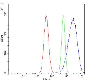 Flow cytometry testing of human U-87 MG cells with GNG2 antibody at 1ug/million cells (blocked with goat sera); Red=cells alone, Green=isotype control, Blue= GNG2 antibody.