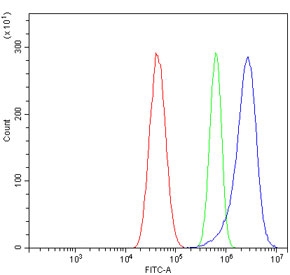 Flow cytometry testing of human U-87 MG cells with GNG11 antibody at 1ug/million cells (blocked with goat sera); Red=cells alone, Green=isotype control, Blue= GNG11 antibody.