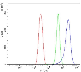Flow cytometry testing of mouse HEPA1-6 cells with GNG11 antibody at 1ug/million cells (blocked with goat sera); Red=cells alone, Green=isotype control, Blue= GNG11 antibody.
