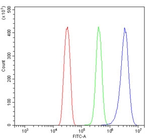 Flow cytometry testing of rat RH35 cells with GNG11 antibody at 1ug/million cells (blocked with goat sera); Red=cells alone, Green=isotype control, Blue= GNG11 antibody.