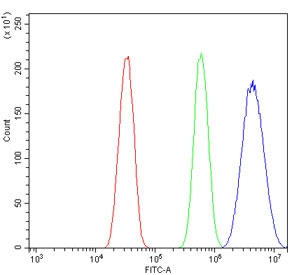Flow cytometry testing of mouse HEPA1-6 cells with LSM5 antibody at 1ug/million cells (blocked with goat sera); Red=cells alone, Green=isotype control, Blue= LSM5 antibody.