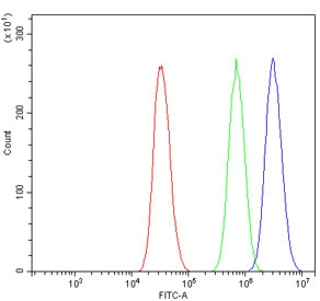 Flow cytometry testing of human A431 cells with LSM7 antibody at 1ug/million cells (blocked with goat sera); Red=cells alone, Green=isotype control, Blue= LSM7 antibody.