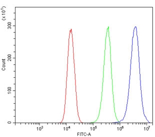 Flow cytometry testing of human 293T cells with OTULIN antibody at 1ug/million cells (blocked with goat sera); Red=cells alone, Green=isotype control, Blue= OTULIN antibody.