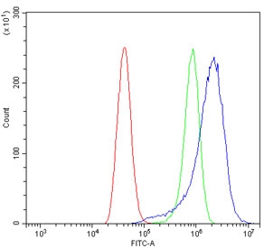 Flow cytometry testing of human A431 cells with PI16/Peptidase inhibitor 16 antibody at 1ug/million cells (blocked with goat sera); Red=cells alone, Green=isotype control, Blue= PI16/Peptidase inhibitor 16 antibody.
