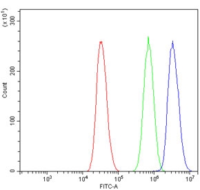 Flow cytometry testing of human A431 cells with RBM47 antibody at 1ug/million cells (blocked with goat sera); Red=cells alone, Green=isotype control, Blue= RBM47 antibody.