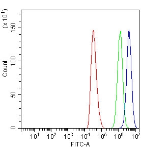 Flow cytometry testing of human HepG2 cells with CDK12 antibody at 1ug/million cells (blocked with goat sera); Red=cells alone, Green=isotype control, Blue= CDK12 antibody.