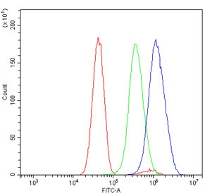 Flow cytometry testing of human U-251 cells with GRHL1 antibody at 1ug/million cells (blocked with goat sera); Red=cells alone, Green=isotype control, Blue= GRHL1 antibody.