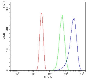 Flow cytometry testing of human U-2 OS cells with KCNJ8 antibody at 1ug/million cells (blocked with goat sera); Red=cells alone, Green=isotype control, Blue= KCNJ8 antibody.