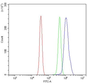 Flow cytometry testing of rat RH35 cells with PCBP1 antibody at 1ug/million cells (blocked with goat sera); Red=cells alone, Green=isotype control, Blue= PCBP1 antibody.