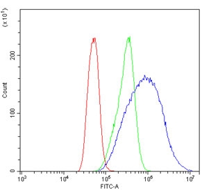 Flow cytometry testing of human Caco-2 cells with EIF4A1 antibody at 1ug/million cells (blocked with goat sera); Red=cells alone, Green=isotype control, Blue= EIF4A1 antibody.