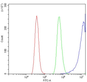 Flow cytometry testing of rat RH35 cells with EIF4A1 antibody at 1ug/million cells (blocked with goat sera); Red=cells alone, Green=isotype control, Blue= EIF4A1 antibody.