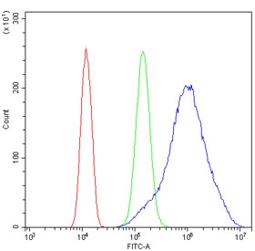 Flow cytometry testing of human SiHa cells with ALDOA antibody at 1ug/million cells (blocked with goat sera); Red=cells alone, Green=isotype control, Blue= ALDOA antibody.