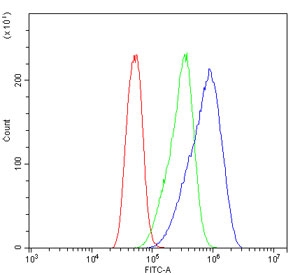 Flow cytometry testing of human Caco-2 cells with eRF1 antibody at 1ug/million cells (blocked with goat sera); Red=cells alone, Green=isotype control, Blue= eRF1 antibody.