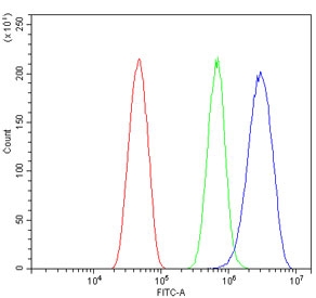 Flow cytometry testing of mouse HEPA1-6 cells with ETF1 antibody at 1ug/million cells (blocked with goat sera); Red=cells alone, Green=isotype control, Blue= ETF1 antibody.