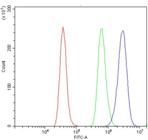 Flow cytometry testing of rat RH35 cells with ETF1 antibody at 1ug/million cells (blocked with goat sera); Red=cells alone, Green=isotype control, Blue= ETF1 antibody.
