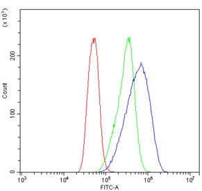 Flow cytometry testing of human Caco-2 cells with ETF1 antibody at 1ug/million cells (blocked with goat sera); Red=cells alone, Green=isotype control, Blue= ETF1 antibody.