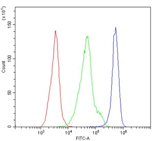 Cd97 Antibody Mouse PBMC FACS. Flow cytometry testing of mouse PBM cells with Cd97 antibody at 1ug/million cells (blocked with goat sera); Red=cells alone, Green=isotype control, Blue= Cd97 antibody.