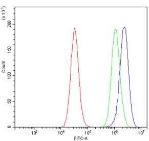 Flow cytometry testing of human PC-3 cells with K-Cadherin antibody at 1ug/million cells (blocked with goat sera); Red=cells alone, Green=isotype control, Blue= K-Cadherin antibody.