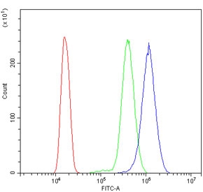 Flow cytometry testing of human HL60 cells with GRSF1 antibody at 1ug/million cells (blocked with goat sera); Red=cells alone, Green=isotype control, Blue= GRSF1 antibody.