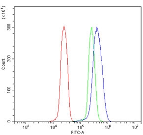 Flow cytometry testing of human U937 cells with GRSF1 antibody at 1ug/million cells (blocked with goat sera); Red=cells alone, Green=isotype control, Blue= GRSF1 antibody.
