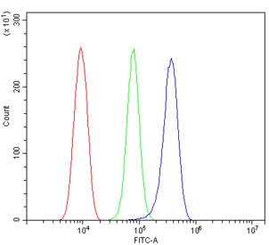 PSEN2 Antibody Rat RH35 FACS. Flow cytometry testing of rat RH35 cells with PSEN2 antibody at 1ug/million cells (blocked with goat sera); Red=cells alone, Green=isotype control, Blue= PSEN2 antibody.