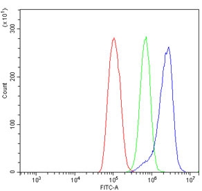 PARP1 Antibody ThP-1 FACS. Flow cytometry analysis of human ThP-1 cells using PARP1 antibody at 1 ug/million cells. Blue histogram represents PARP1 antibody staining, green represents isotype control, and red represents unstained cells alone. The rightward fluorescence shift observed with PARP1 staining is consistent with intracellular detection of this chromatin-associated repair protein involved in DNA damage signaling, genomic maintenance, and nuclear stress-response pathways in monocytic leukemia cells. Cells were blocked with goat sera prior to staining.