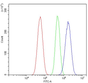 Flow cytometry testing of human U-87 MG cells with Mannose Phosphate Isomerase antibody at 1ug/million cells (blocked with goat sera); Red=cells alone, Green=isotype control, Blue= Mannose Phosphate Isomerase antibody.